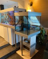 Aquarium 70x70x70 mit eingebauten Dreikammerfilter Nordrhein-Westfalen - Goch Vorschau