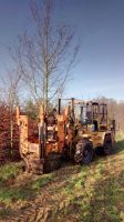 Baumverpflanzungen Pflanzarbeiten Baumversetzen Niedersachsen - Bad Zwischenahn Vorschau