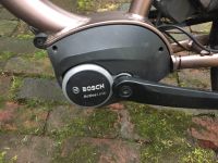 Ebike Porto 9.4 Bosch Active Line Touring Damenrad Schleswig-Holstein - Krempe Vorschau