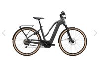 Flyer E Bike Gotour 7.12 XC Modell 2024 85 Nm, Rahmenhöhe 48 cm Nordrhein-Westfalen - Bad Driburg Vorschau