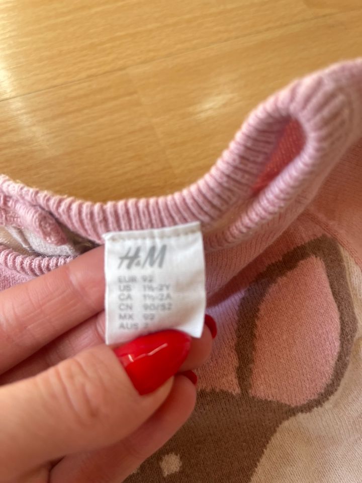 Mädchen Baby Kleider Langarmkleid Latzkleid H&M Zara Gr 86 92 in Gaimersheim