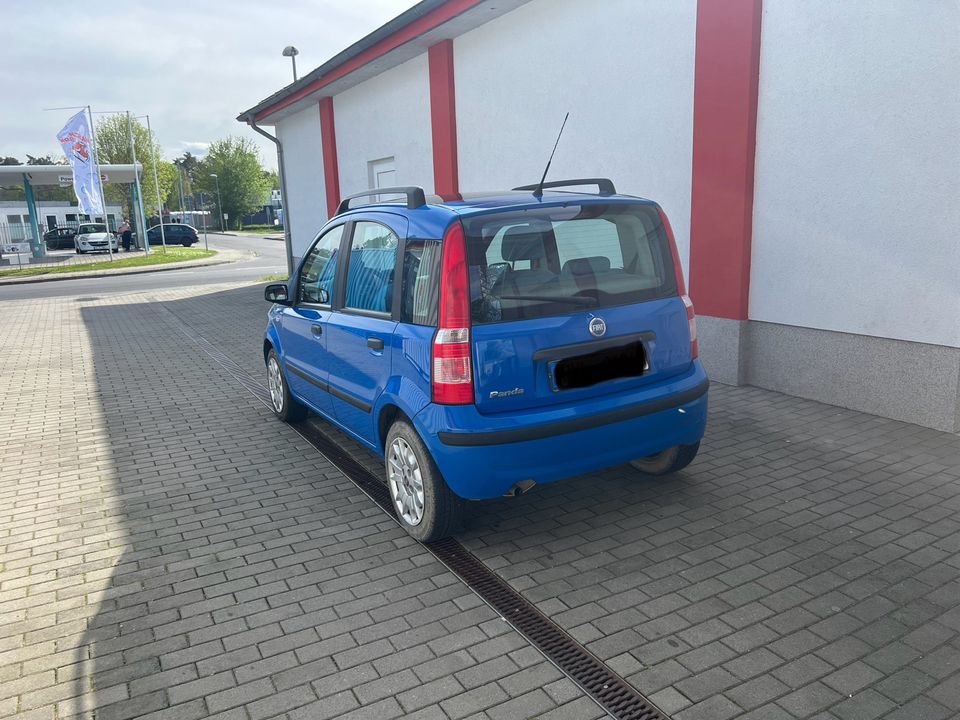 Fiat Panda 1.2 Automatik! in Falkensee