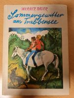 Buch Sommergewitter am Trabbensee von Werner Bauer Sachsen-Anhalt - Gräfenhainichen Vorschau