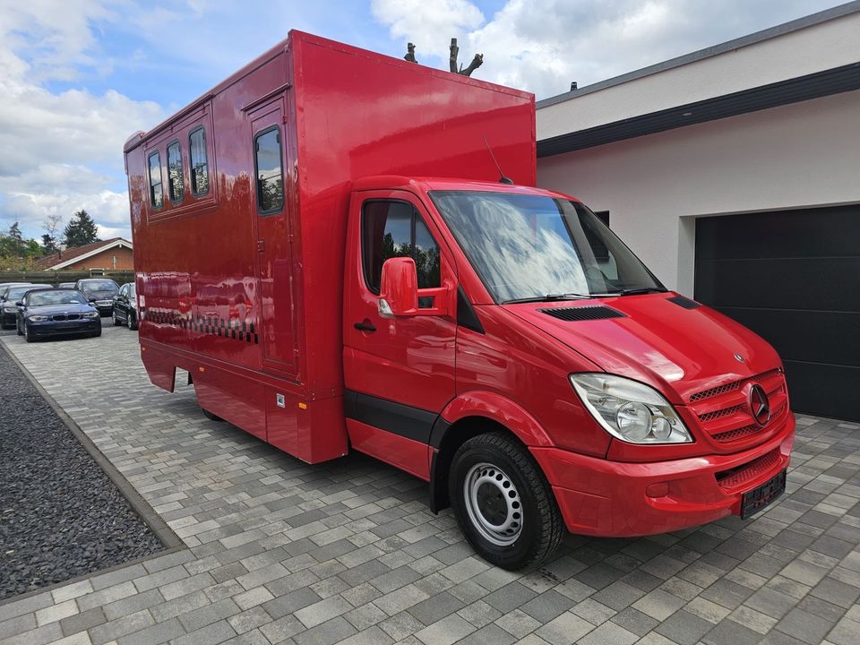 Mercedes Benz Sprinter Pferdetransporter Steinsberger Aufbau in Kremmen