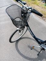 Damenfahrrad Nordrhein-Westfalen - Ibbenbüren Vorschau