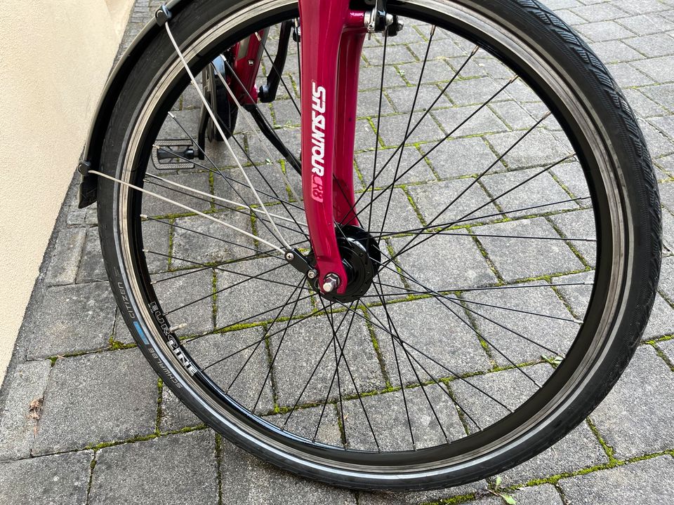 28“ Zoll Fahrrad 24-Gang, Nabendynamo, Vollfederung, Standlicht H in Singen