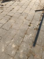 Bodenplatten Terrassenplatten zu verschenken Sachsen-Anhalt - Magdeburg Vorschau
