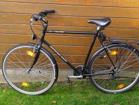 Trekking Fahrrad Diamond Back 28" Schwarz Hessen - Rabenau Vorschau