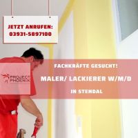 Maler/ Lackierer (m/w/d) in Stendal gesucht! Sachsen-Anhalt - Stendal Vorschau
