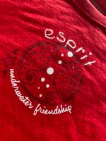 Baby Shirt von Esprit Baden-Württemberg - Schwaigern Vorschau