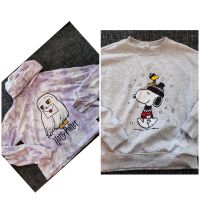 Sweatshirt Hoodie Peanuts Snoopy Hedwig Harry Potter xs 170 Niedersachsen - Nörten-Hardenberg Vorschau