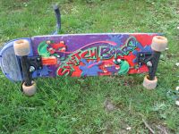 Switch Board Skateboard Nordrhein-Westfalen - Borgholzhausen Vorschau