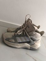 Adidas Basketballschuhe / Schuhe Größe 42 Rheinland-Pfalz - Alzey Vorschau
