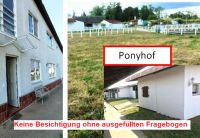 Ponyhof zur gewerblichen Nutzung (4 Boxen + Hütte + Lager) Berlin - Spandau Vorschau