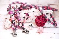 Hunde Halsband Leinenset Rosa Tau Biothane v Wutz Manufaktur Hessen - Hainburg Vorschau