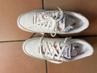 Reebok Herren Sneaker 39 Neu Schleswig-Holstein - Ammersbek Vorschau