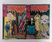 Comics Hefte Horror Bsv Williams 2 STÜCK aus Sammlung 70er Jahre Niedersachsen - Celle Vorschau