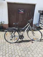 GIANT Damen Trekking-Fahrrad X-Sports 3 Rheinland-Pfalz - Daun Vorschau