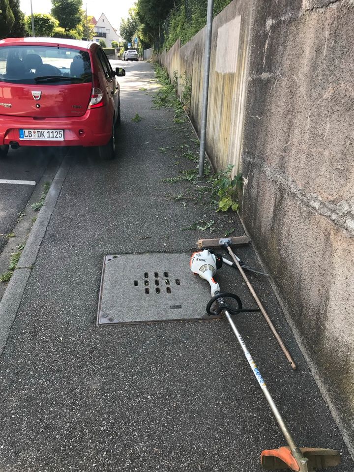 Gartengestaltung / Gartenarbeiten / Rasen Mähen und vieles mehr… in Benningen