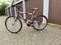 Fahrrad zum verkaufen 26 Zoll Mountainbike Bayern - Regensburg Vorschau
