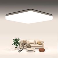 Ouila LED Deckenleuchte Flach Lampe 20W 4000K Neutralweiß Zuhause Wandsbek - Hamburg Bramfeld Vorschau