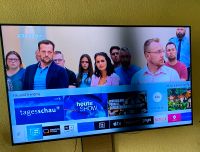 Samsung Smart TV 65 Zoll Displayfehler dunkler Streifen Sachsen - Eilenburg Vorschau