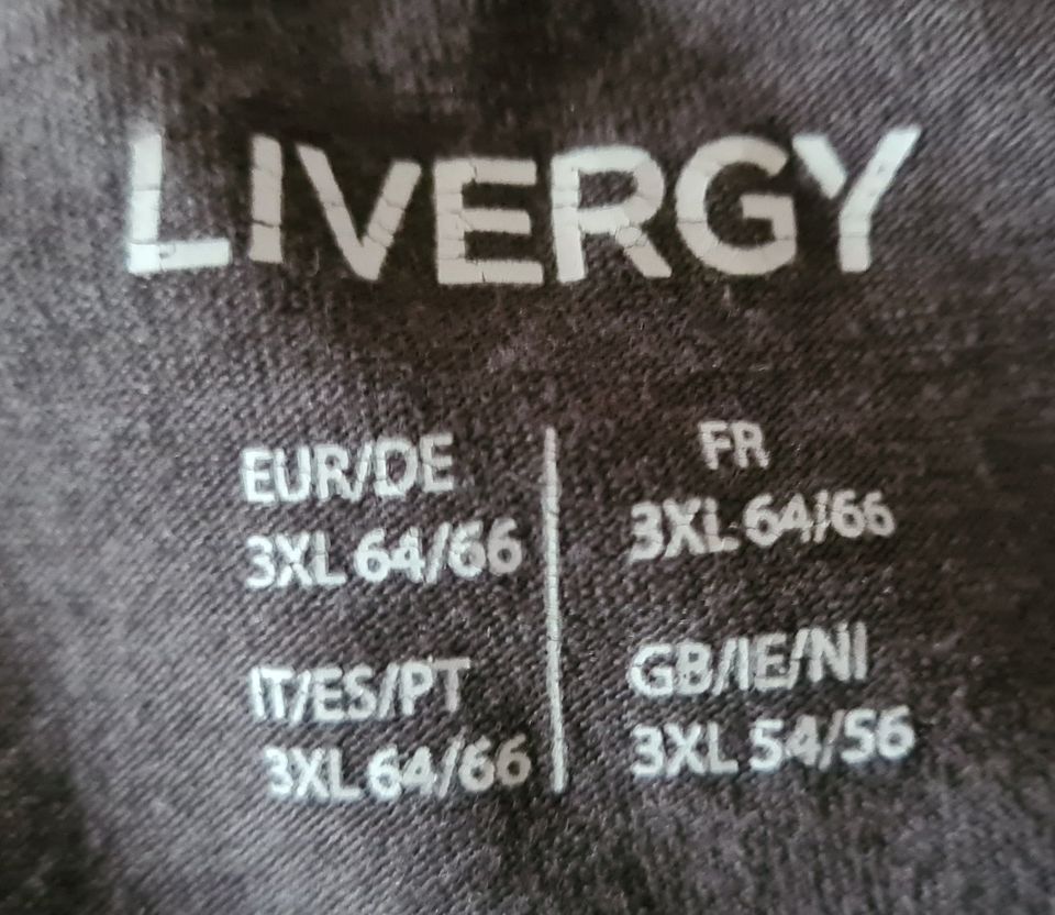 Herren Sweatshirt Pullover Shirt Pulli 64 66 XXXL Livergy grau in Datteln