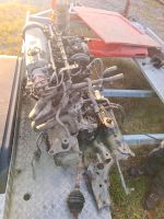 VW Polo III  Motor 1,4 60 PS Achse getriebe defekt akv Bayern - Dietersburg Vorschau