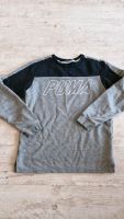 Pullover puma Sachsen-Anhalt - Bernburg (Saale) Vorschau