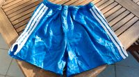 Adidas Sprinter Shorts Nylon L Blau Weiß Glanz Vintage 80 Retro Hessen - Roßdorf Vorschau