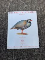 The Bird Illustraded Buch Vogelkunde Englisch Sachsen - Rammenau Vorschau
