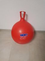 Hüpfball 50 cm Hessen - Habichtswald Vorschau
