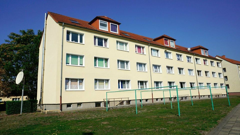 2 gemütliche Ferienwohnungen für 2-6 Personen in Egeln in Egeln