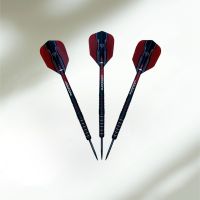 HARROWS INFINITY STEEL-DARTS Bayern - Kissing Vorschau