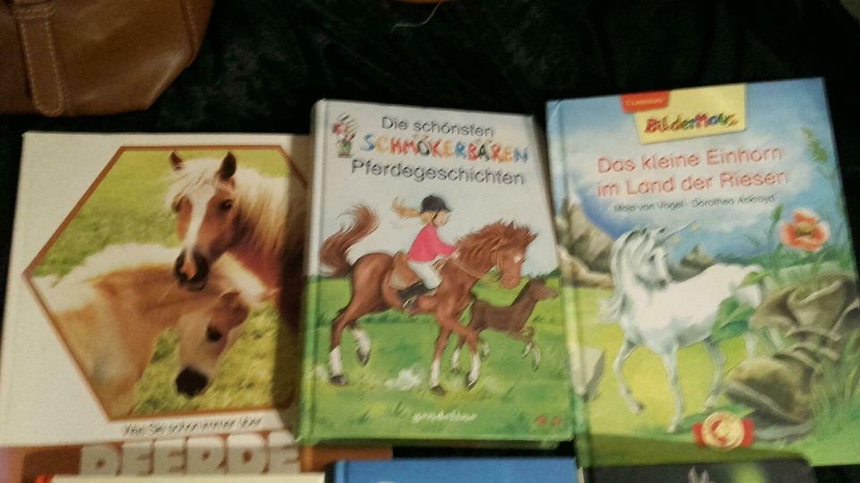 8 Stück für 10,- Pferdebücher Ostern Kinderbücher Jugendbücher in Meißen