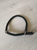 AniOne Retriver Halsband aus Nylon XS Berlin - Hohenschönhausen Vorschau