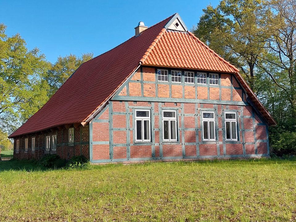 Wohnen inmitten der Natur: stilvoll saniertes Zweiständerhallenhaus auf idyllischem Hofgrundstück in Hude (Oldenburg)