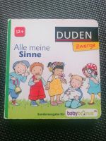 Alle meine Sinne Buch Baden-Württemberg - Remchingen Vorschau