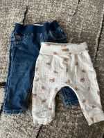 Babyhosen Gr. 62 Nordrhein-Westfalen - Detmold Vorschau