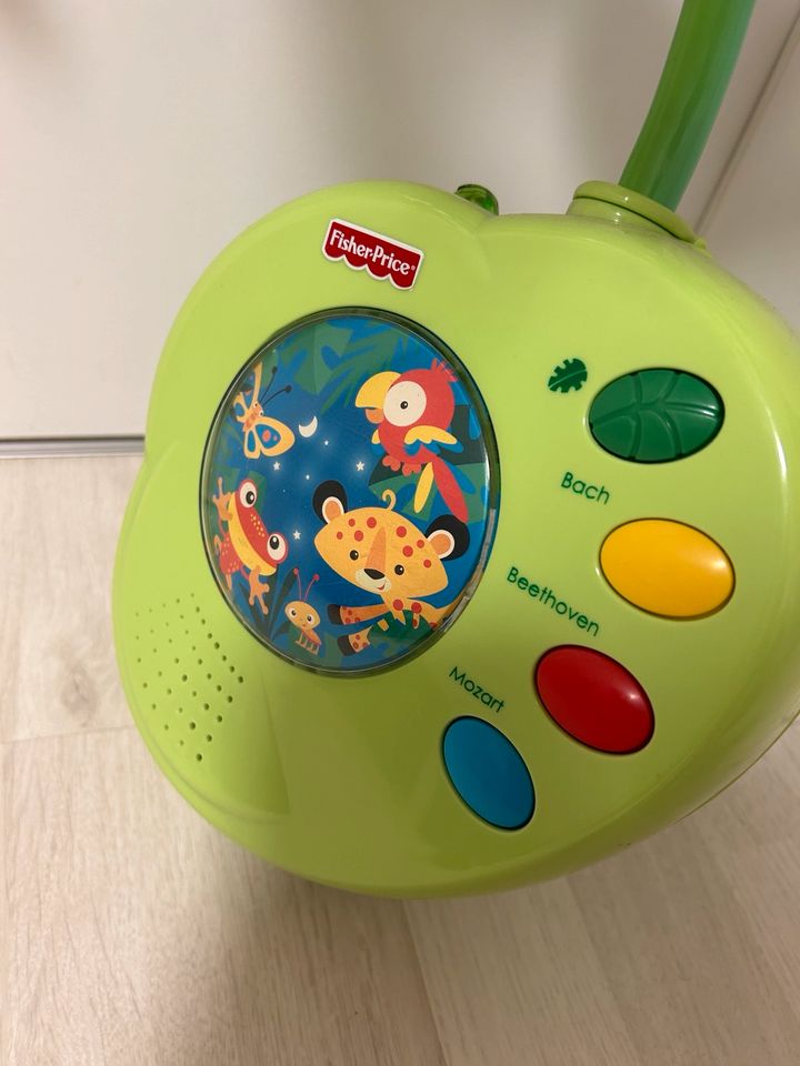 Rainforest Fisher Price Mobile in Neunkirchen a. Brand