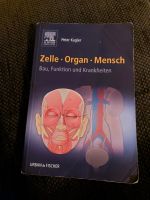 Buch Zelle, Organ, Mensch Brandenburg - Senftenberg Vorschau