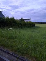 Nähe Nürburgring /Voll erschloss. Baugrundstück / angrenz. Wiese Rheinland-Pfalz - Gelenberg Vorschau