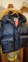 Die neue Levis Daunenjacke. Größe S. Neu mit Etiketten! NP 220EUR Hannover - Herrenhausen-Stöcken Vorschau