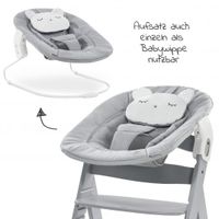 Hauck 2 in 1 Baby Bouncer Bayern - Kraiburg am Inn Vorschau