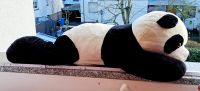 BOB DER BÄR  Panda/ Pandabär / Bär 90 cm  2 GRATIS-GESCHENKE Hessen - Limburg Vorschau
