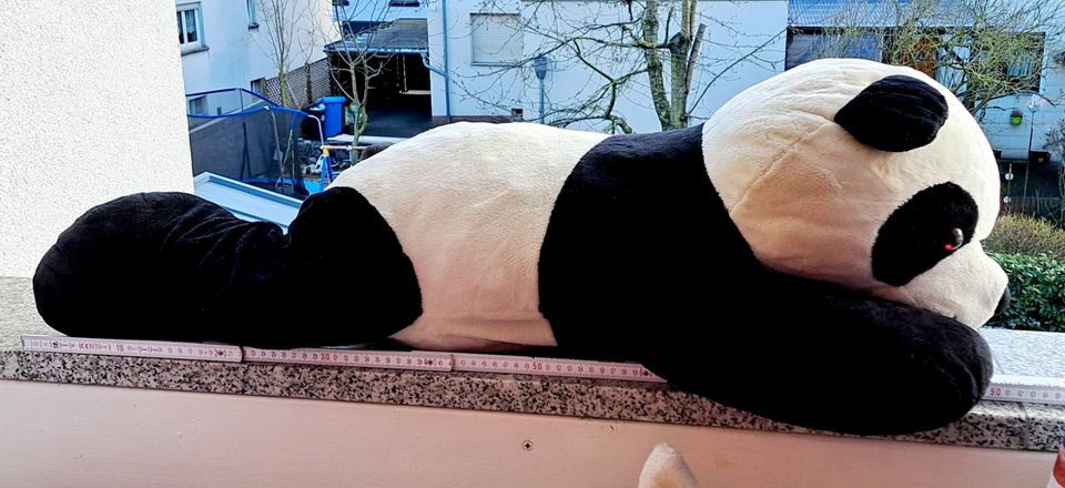 BOB DER BÄR  Panda/ Pandabär / Bär 90 cm  2 GRATIS-GESCHENKE in Limburg