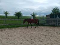 SUCHE privaten Reitunterricht ggf. Reitbeteiligung Hessen - Hünfeld Vorschau