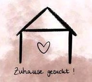 Wir suchen ein gemeinsames neues Zuhause in Lüneburg Niedersachsen - Lüneburg Vorschau