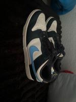 Nike dunk low Schuhe Nordrhein-Westfalen - Meerbusch Vorschau