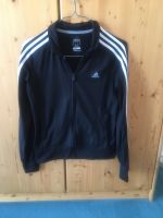 Adidas Trainingjacke Bayern - Wackersdorf Vorschau